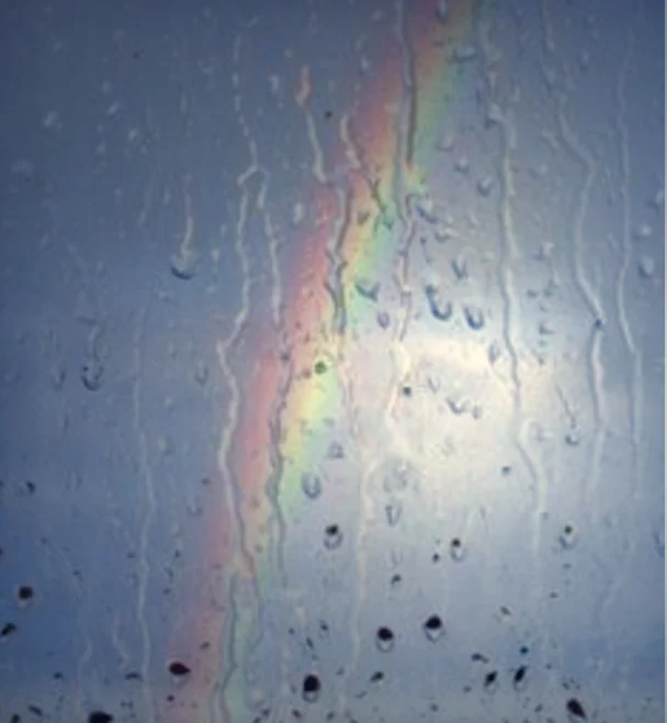 rainbow adjusted.jpg