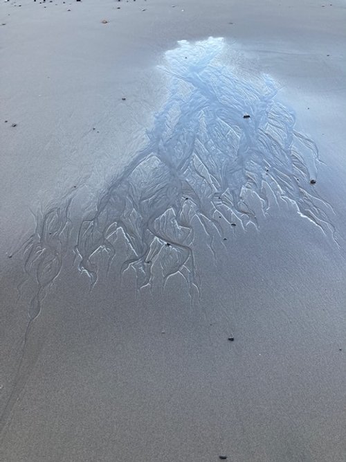 Do your eyes smile like flowers?