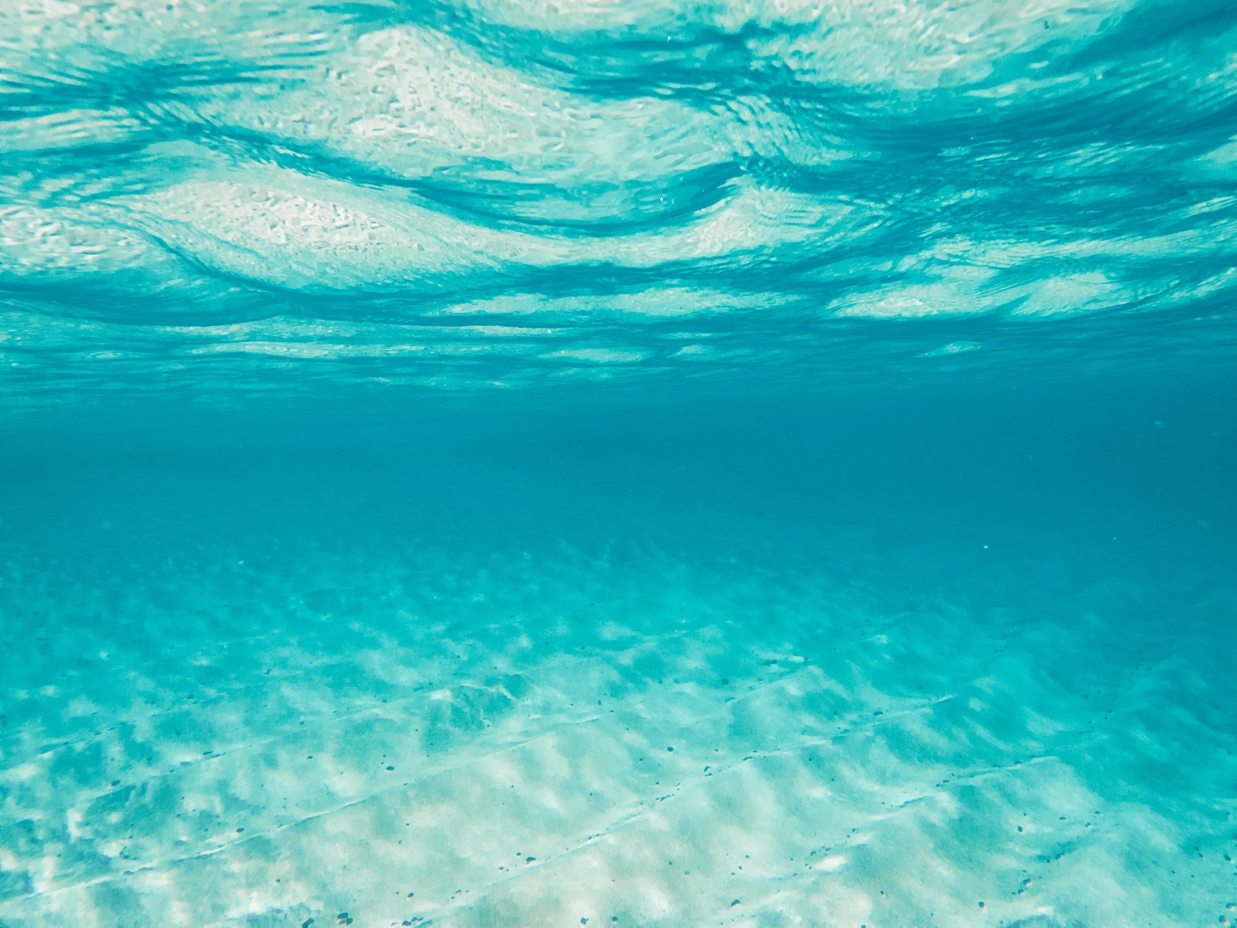 The nature of water. An Akashic Record download.