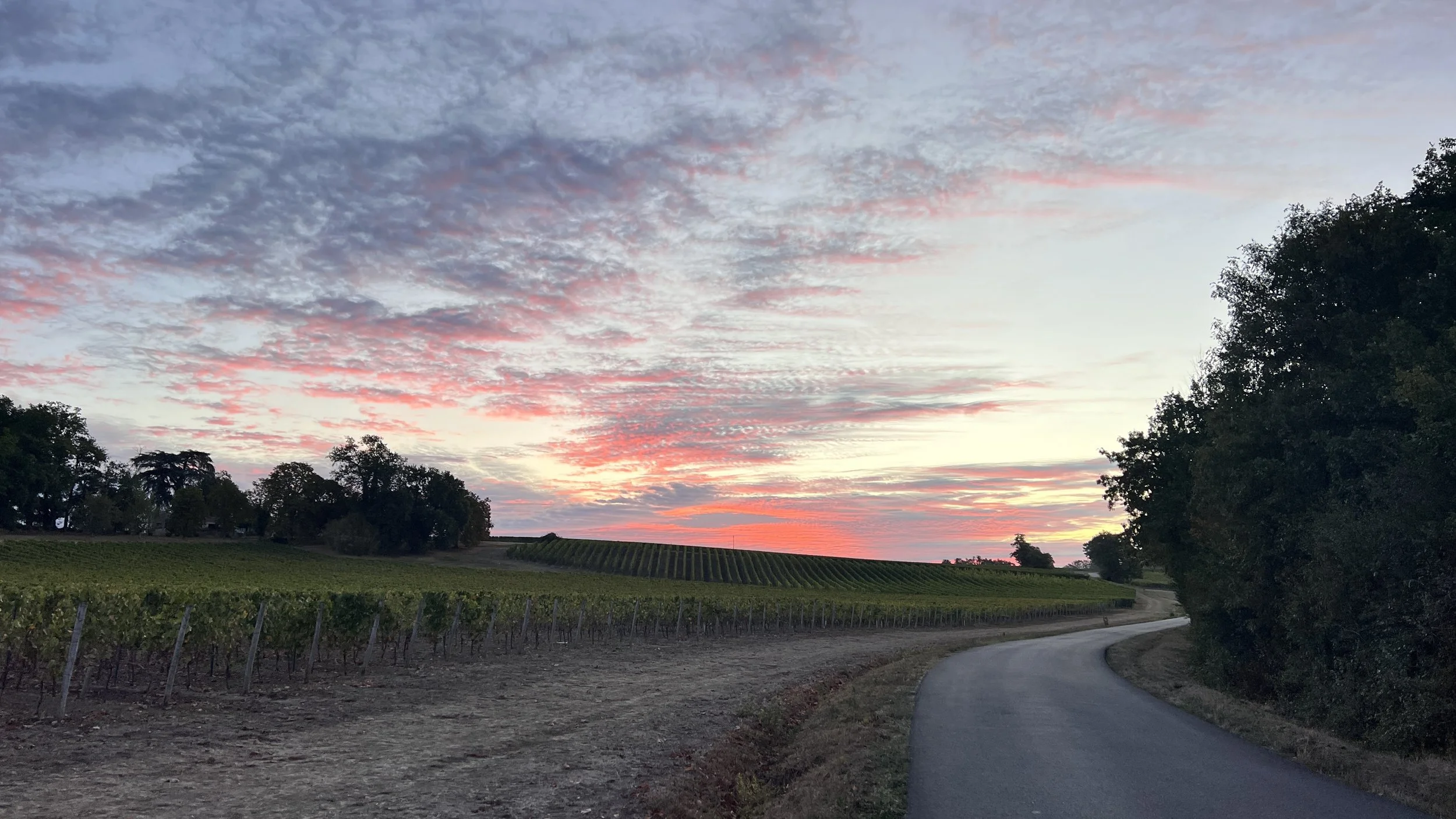 The rearview mirror— Notes from the French countryside
