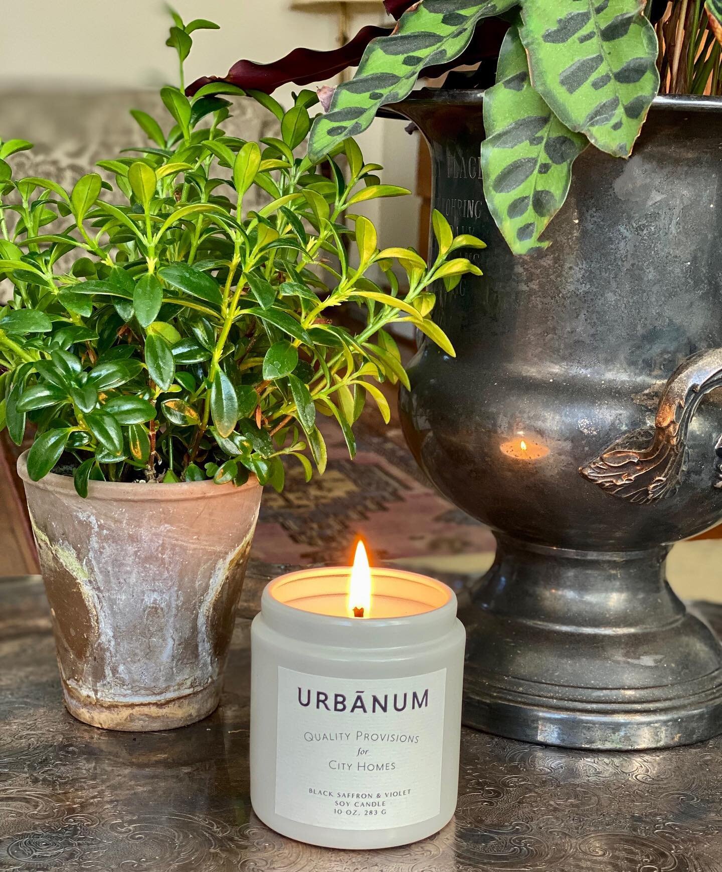 We are excited to introduce a new candle line made exclusively for Urbanum!  With three unique scents, high-quality soy, and a long burn time, these candles come in two sizes.  The larger size even has a layer of copper glitter - matching the copper 