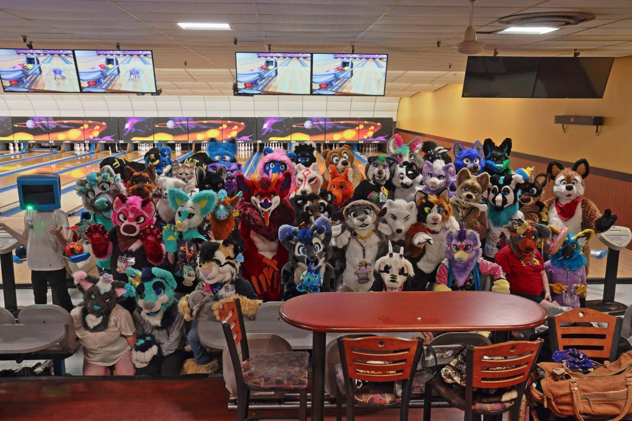 Furbowl 69 / Nice