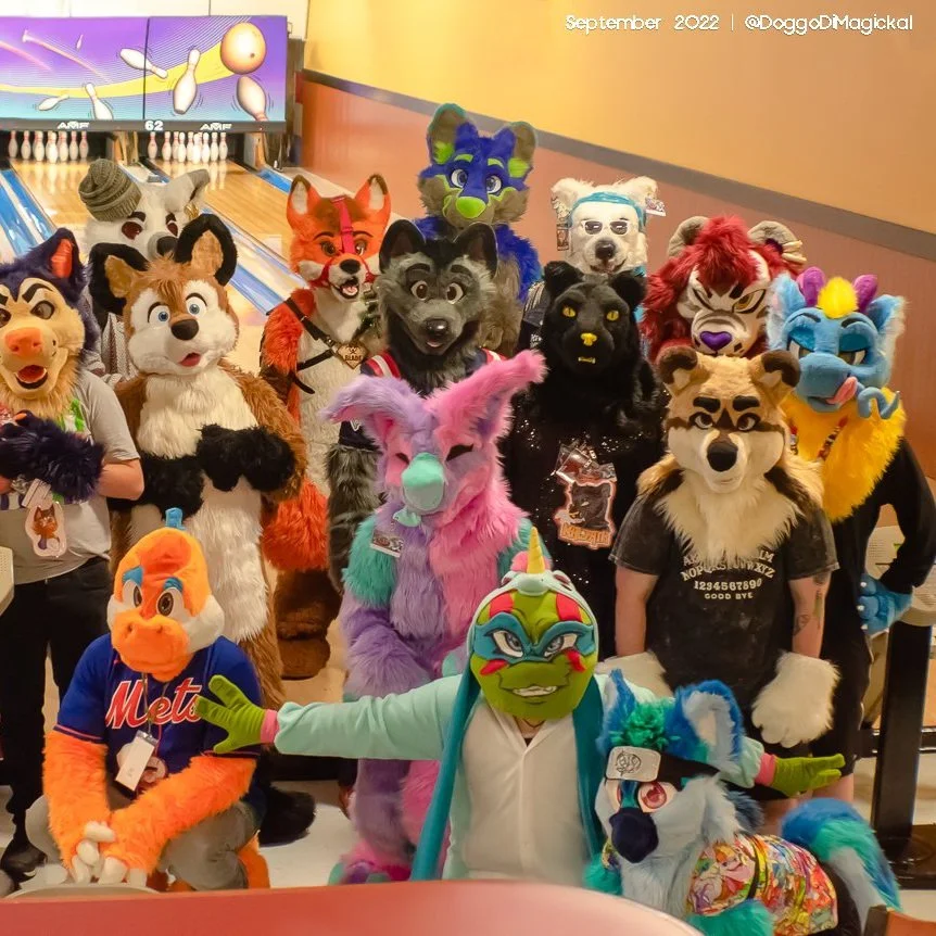 Delaware Furbowl 84: Wuffle House