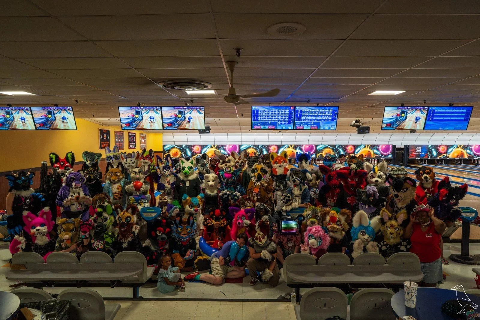 Delaware Furbowl 94: Cottage Core