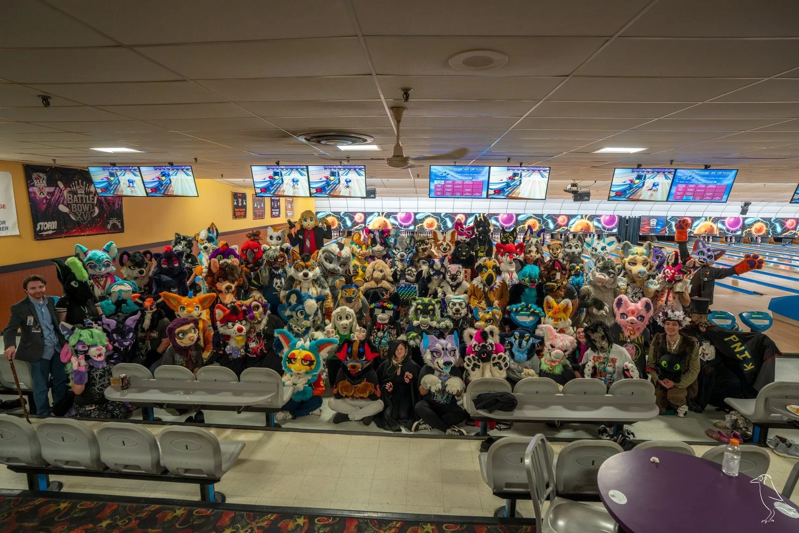 Delaware Furbowl 99: Echoes &amp; Embers