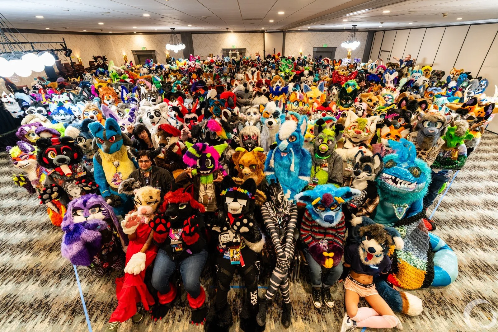 New Years Furry Ball 2027