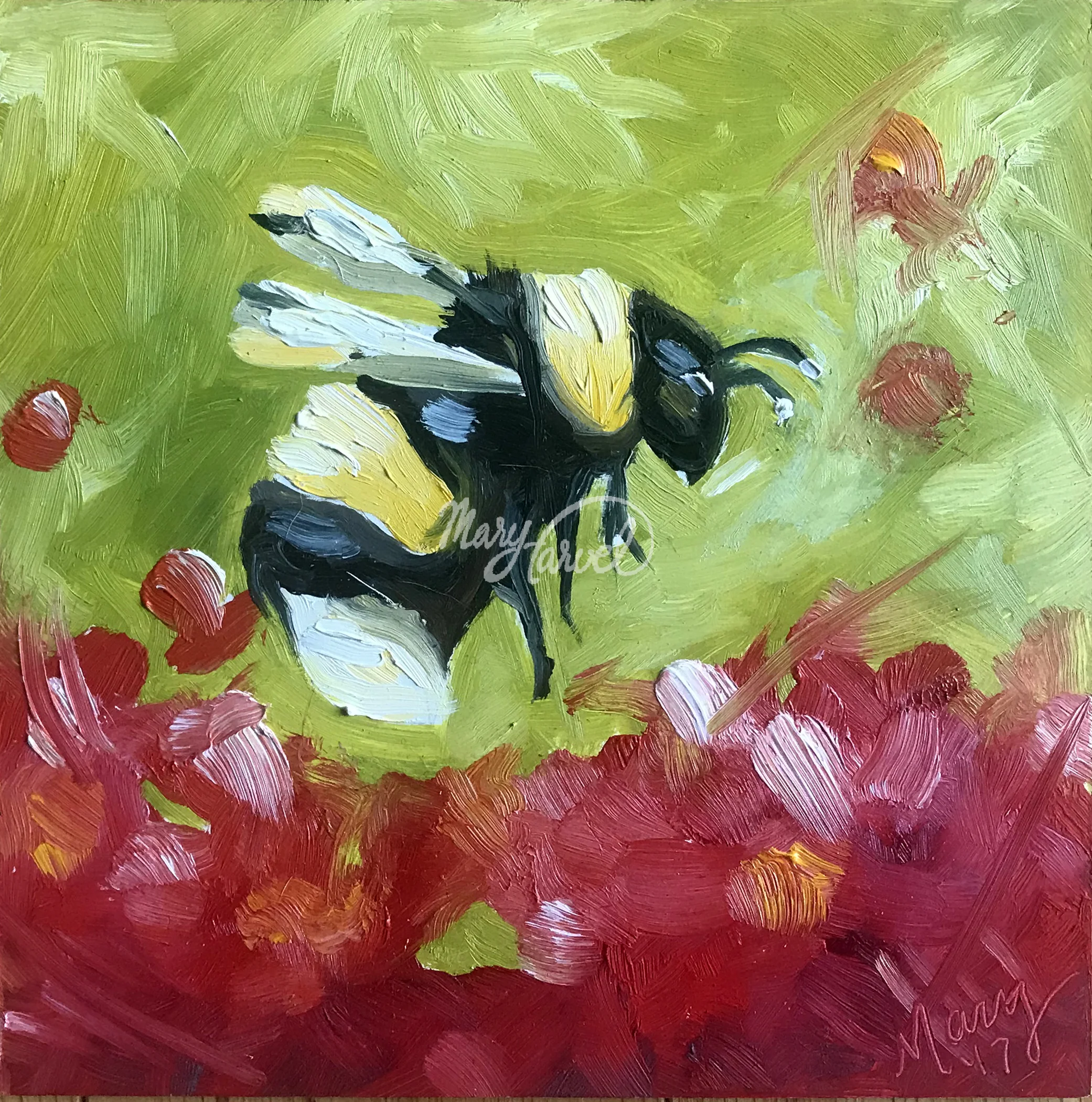 springbee_wwatermark.jpg