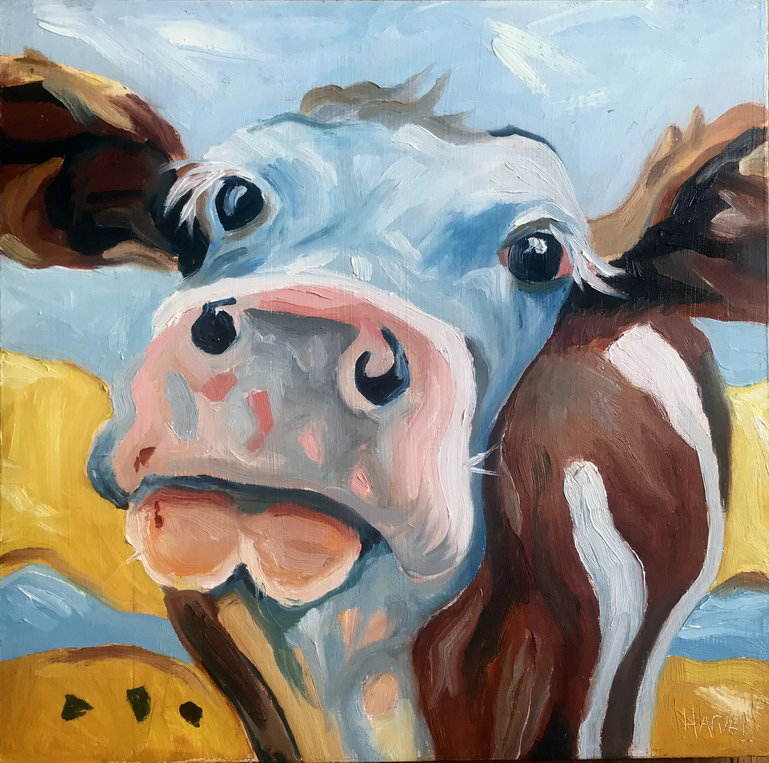 cowno1.jpg