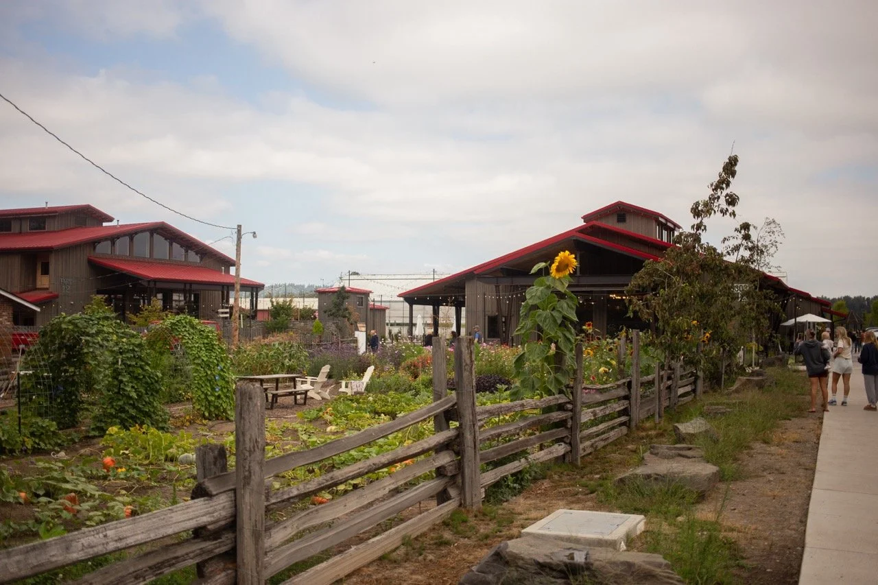 Mental Health Monday