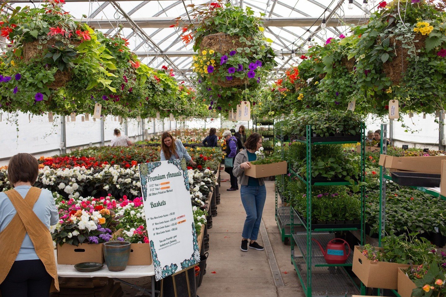 Our Loveland Greenhouse opening date is next Friday, April 26th! For those who pre-ordered hanging baskets, they'll be ready for pick-up. For those who missed pre-ordering, we'll have a limited number available on a first-come, first-served basis, as