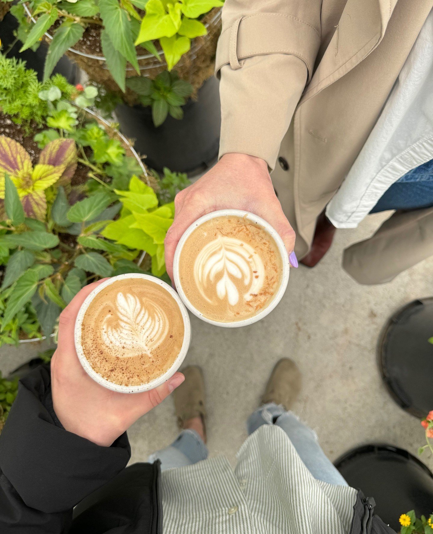 Grab a Fika coffee and a friend and join us in the greenhouse tomorrow from 9:00am - 4:00pm 🌱