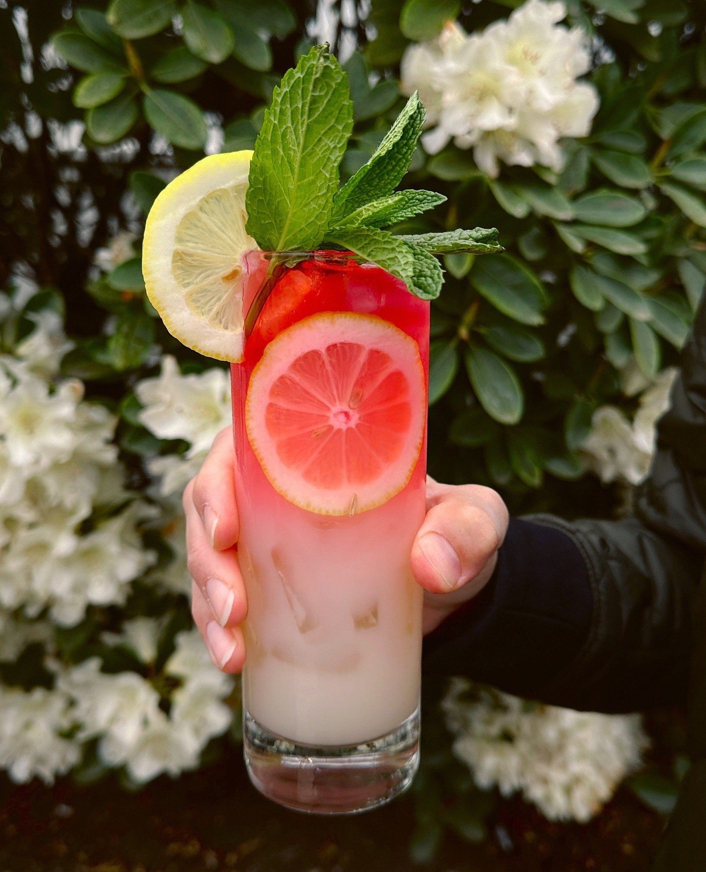 We love creating cocktails that look just as good as they taste and this new cocktail is just that 🍋🌸👑 Introducing, Royal Garden - just one of our 5 newest cocktails at Farm 12 Restaurant!⁠
⁠
Empress Elderflower Rose Gin, Giffard Lichi-Li, lychee 