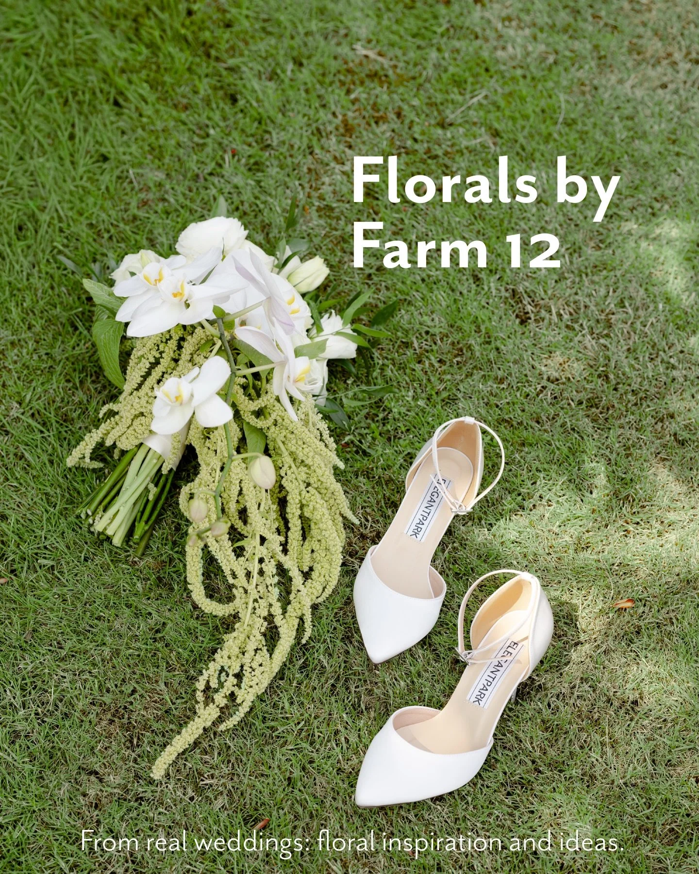 Your Pinterest board called&hellip; and we brought it to life🌷 At Farm 12, our team loves getting creative, offering fresh ideas, and making sure every detail feels just right! And the best part? We offer it all year-round!✨
Ready to pick your big d