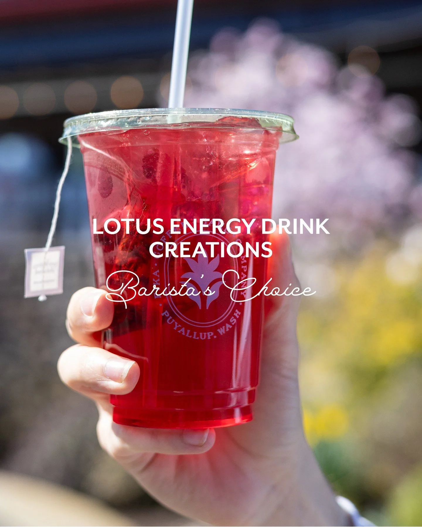 Can't decide on a refreshing Lotus flavor? Ask your barista! The Fika barista's have tested and perfected the best flavor combinations! Swing by and try your favorite barista&rsquo;s, favorite Lotus✨️⁠
⁠
Barista's Choice: Lotus Creations⁠
⁠
🌊Midnigh