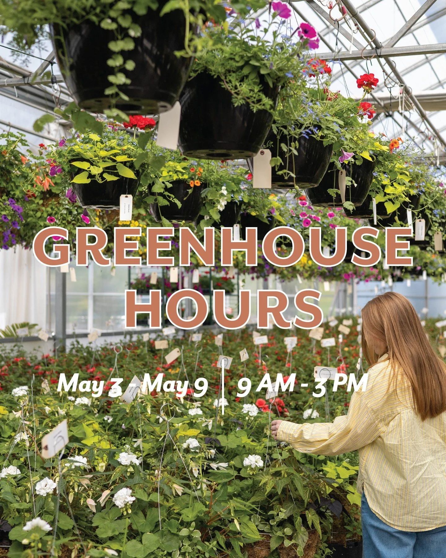 We&rsquo;re excited to welcome everyone into our Greenhouse this Sunday 🌼 ⁠
⁠
Whether you&rsquo;re picking up your hanging basket, browsing our retail selection, or just stopping by the site for a latte, we&rsquo;d love to see you! ⁠
⁠
Step By Step 