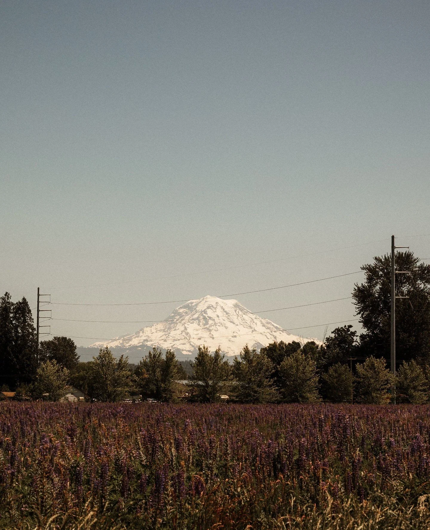 Farm 12 Restaurant will be closing at 3pm on Mother's Day, May 10th 💛 ⁠
⁠
If you made a Mother's Day brunch reservation, we can't wait to serve you! If you didn't, we will have a limited number of walk-in tables available! ⁠
⁠
PS - this view never g
