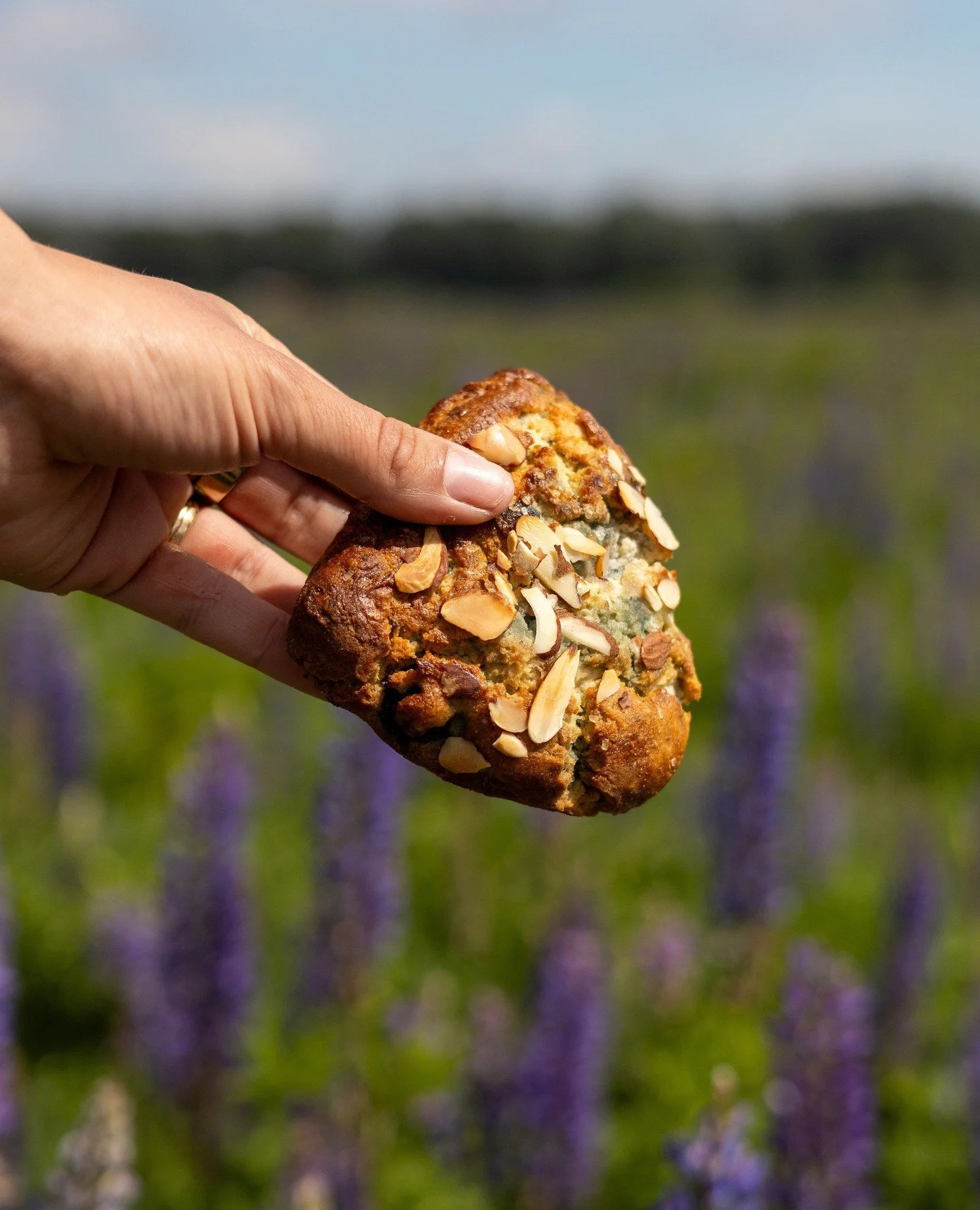 Word around town is that Fika has the BEST Gluten Free Blueberry Almond Scones🫐 We've been told they don't taste "gluten free" at all. Seriously. It's a favorite around here. ⁠
⁠
No need to be gluten free to enjoy. If you've had one, then 