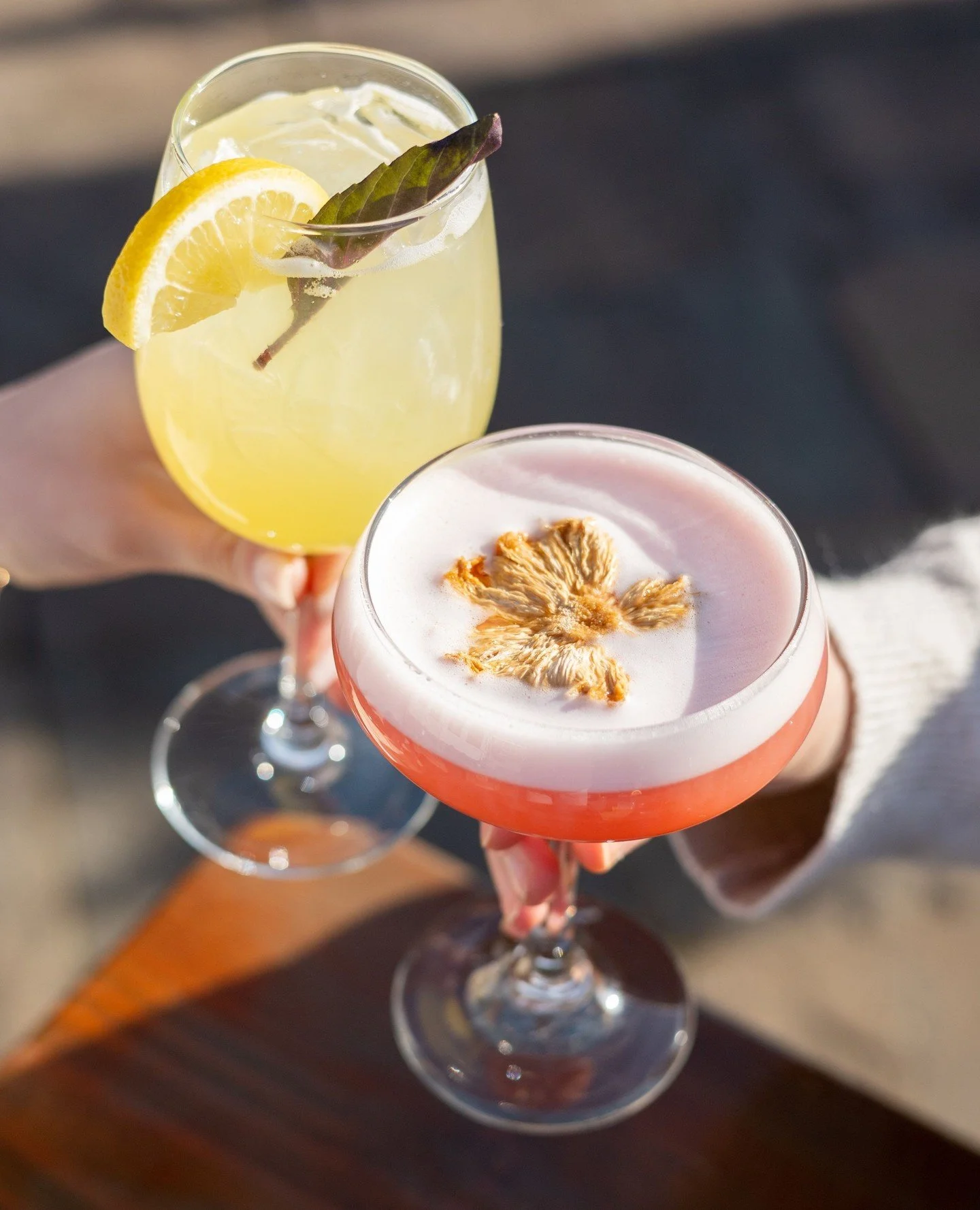 Happy Friday!🍋Celebrate your week with a cocktail on the patio this evening! ⁠
⁠
Pictured: ⁠
Thai Basil Pineapple⁠
Tequila Campari Sour ⁠