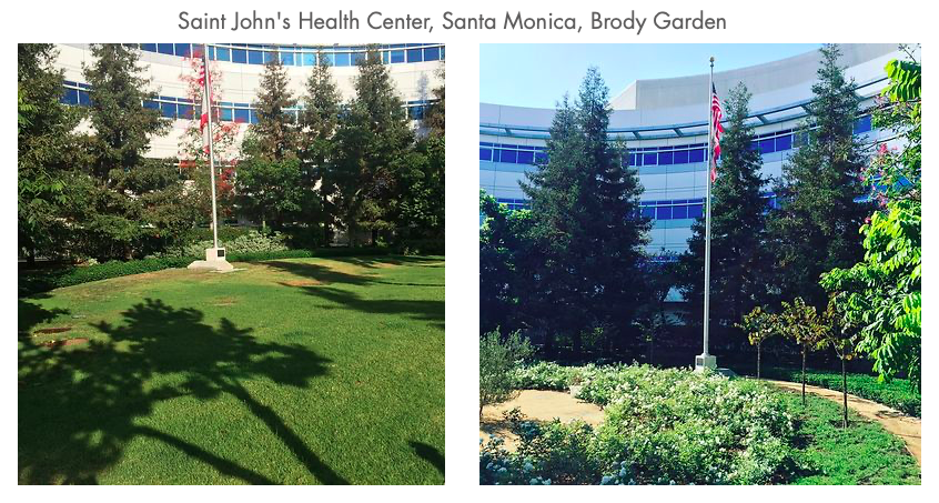 Before and After Saint John's Hospital.png