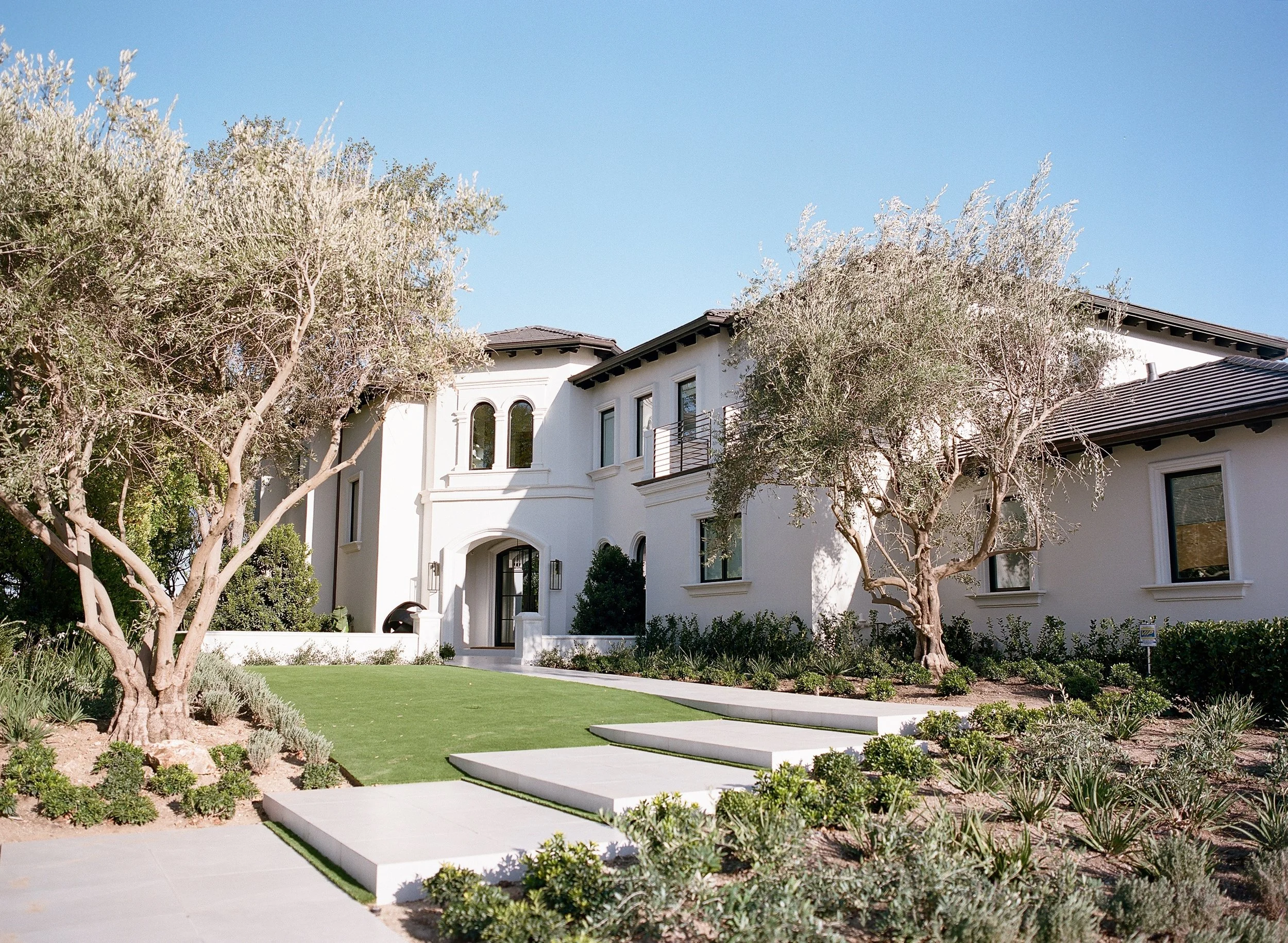 The Value of Planting Trees: 5 Wonderful Ways Trees Enhance a Home