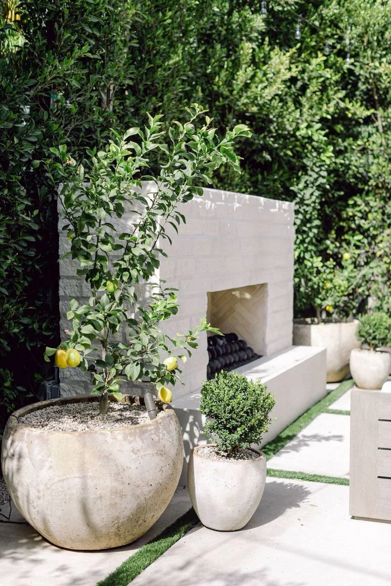 Pacific Palisades (Lawson) (4).jpg