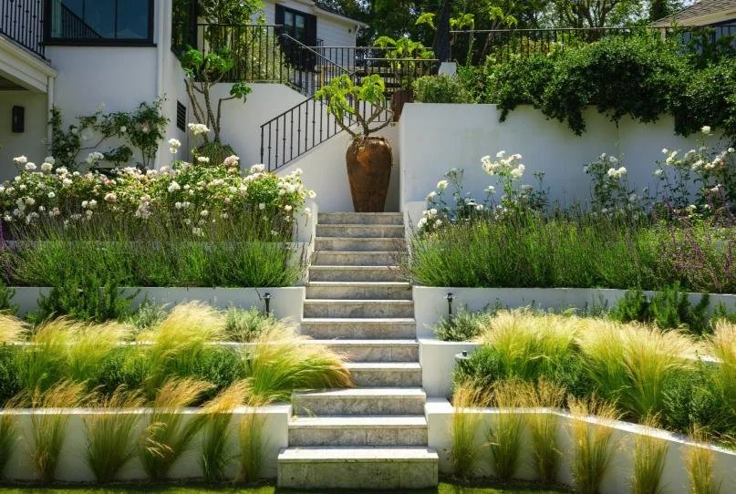 Hollywood Hills 6.jpg