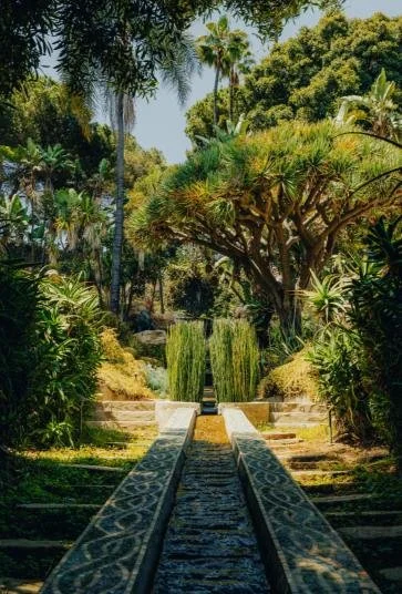 Hollywood Los Feliz 2.jpg