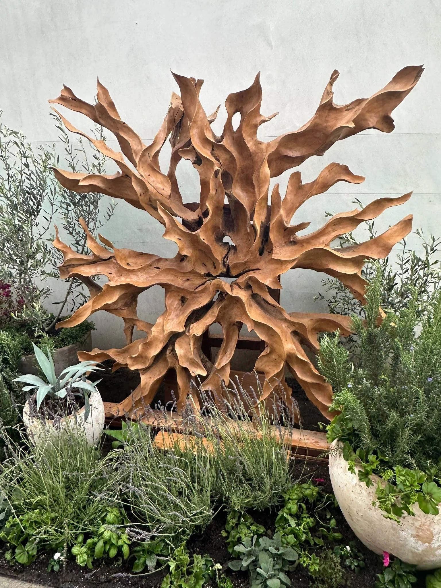 Decorative wooden sculpture resembling a burst of flames or flower in a garden, surrounded by various potted plants and greenery.