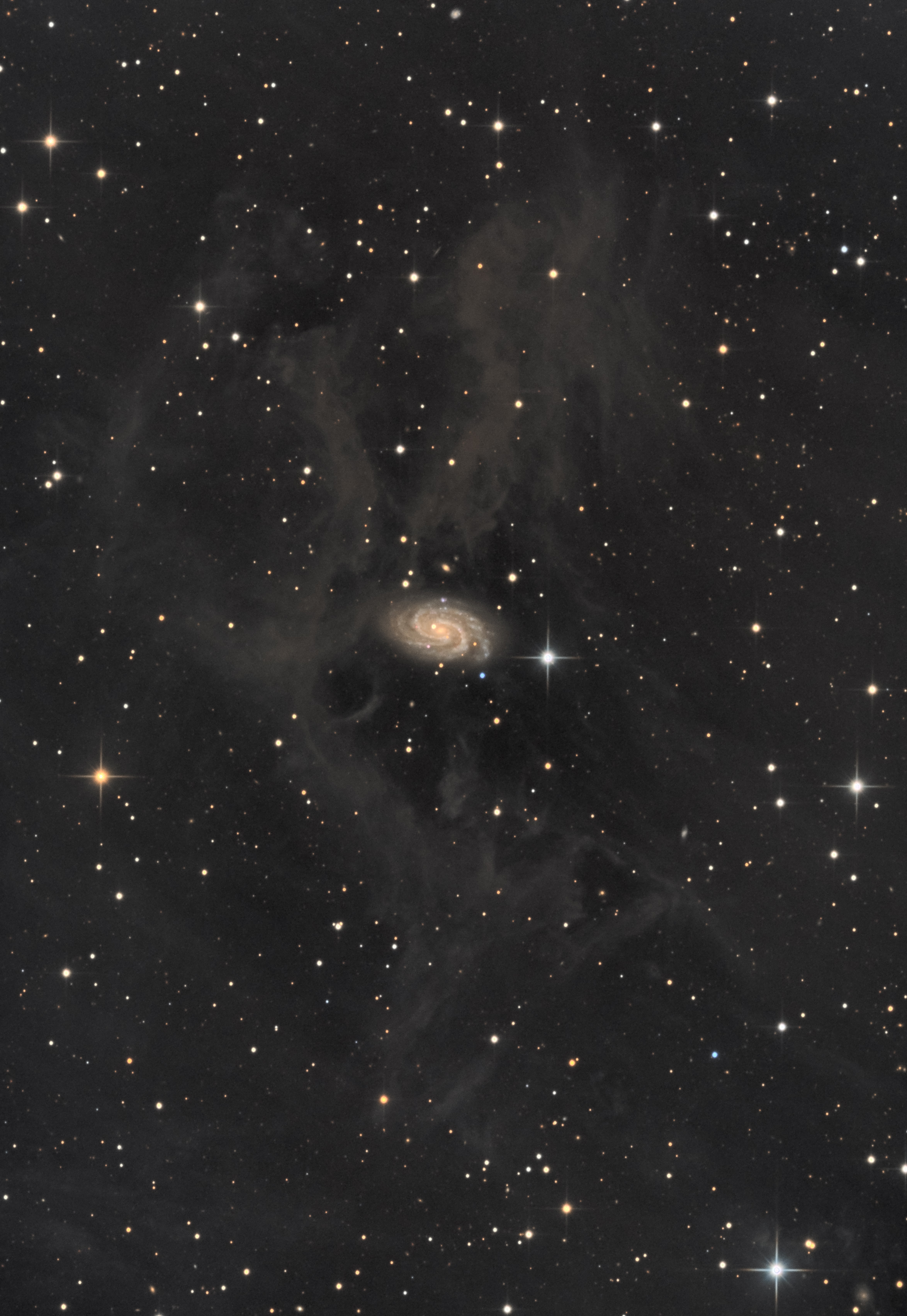NGC 918.jpg
