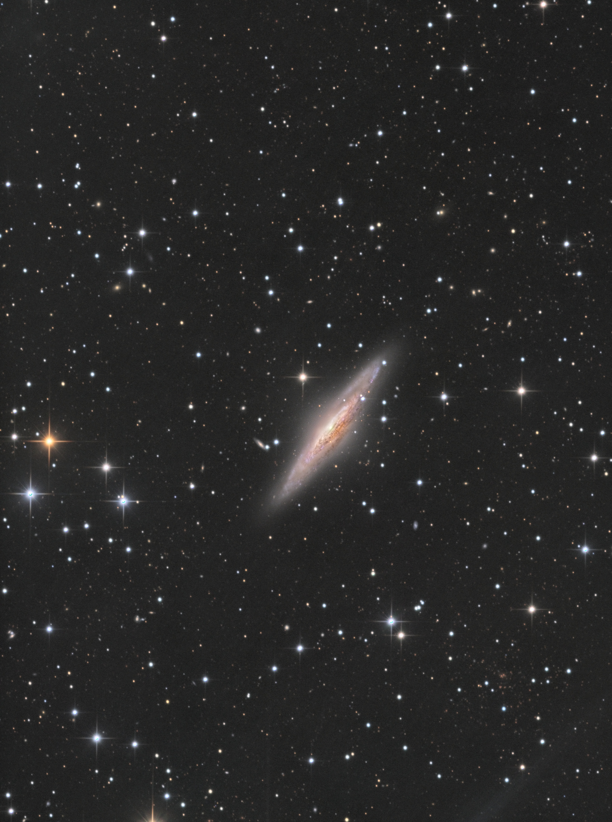 NGC 2683_b.jpg