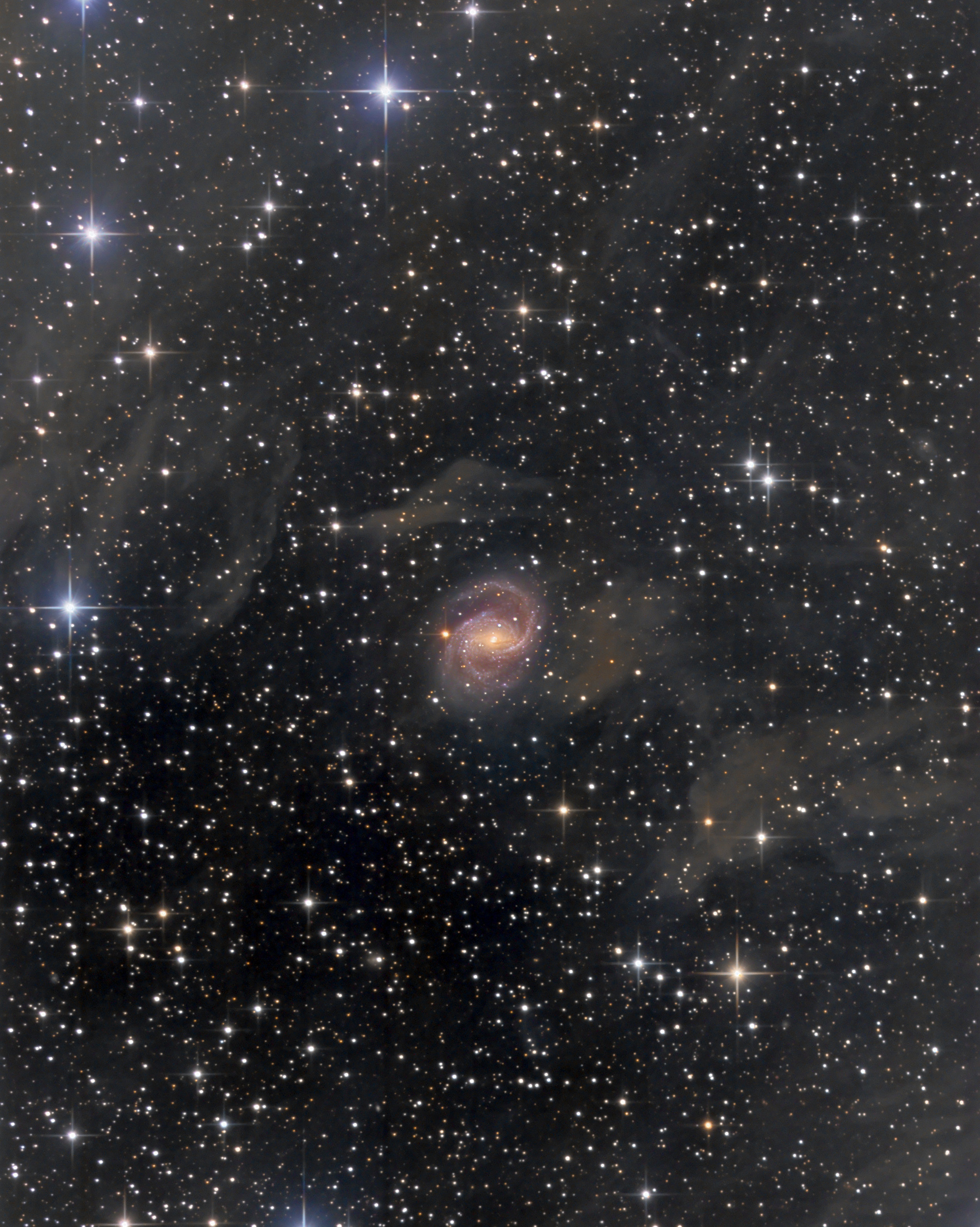 NGC 6951.jpg