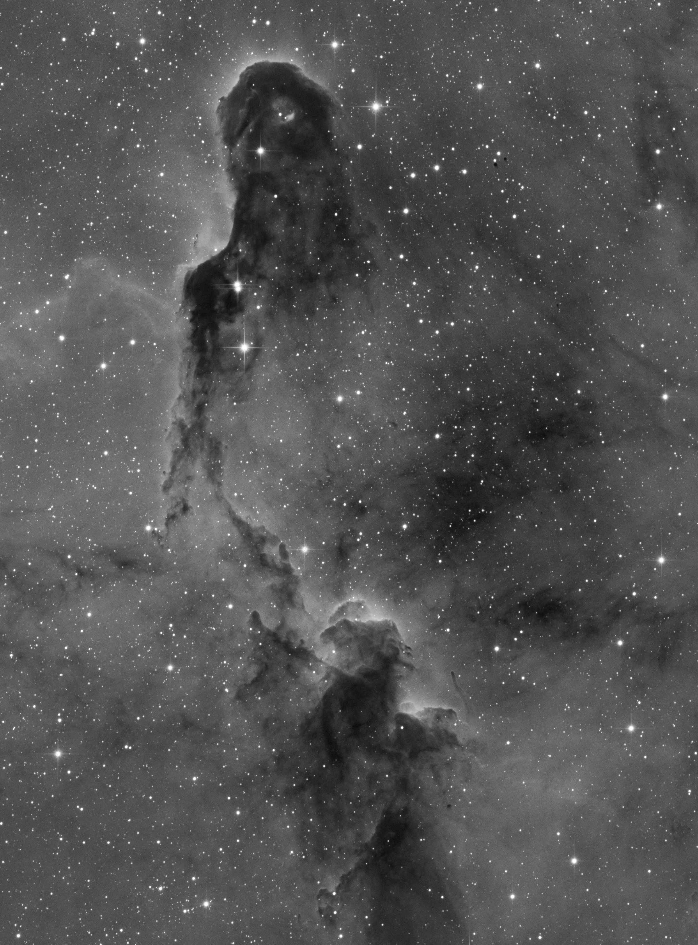 IC 1396_SHO-2.jpg