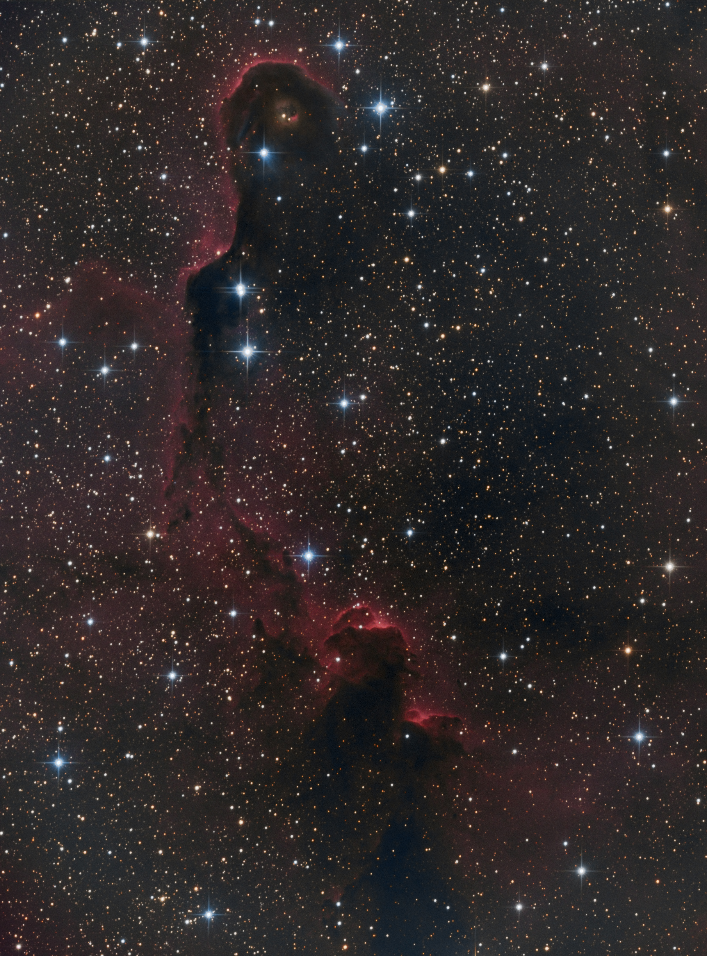 IC 1396_RGB.jpg