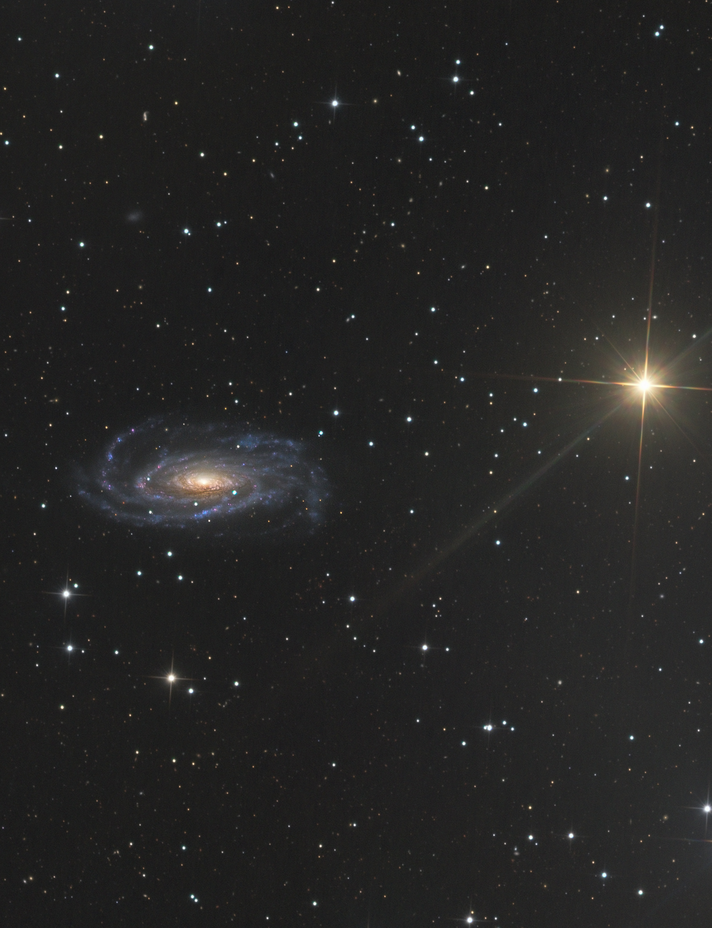 NGC 5033