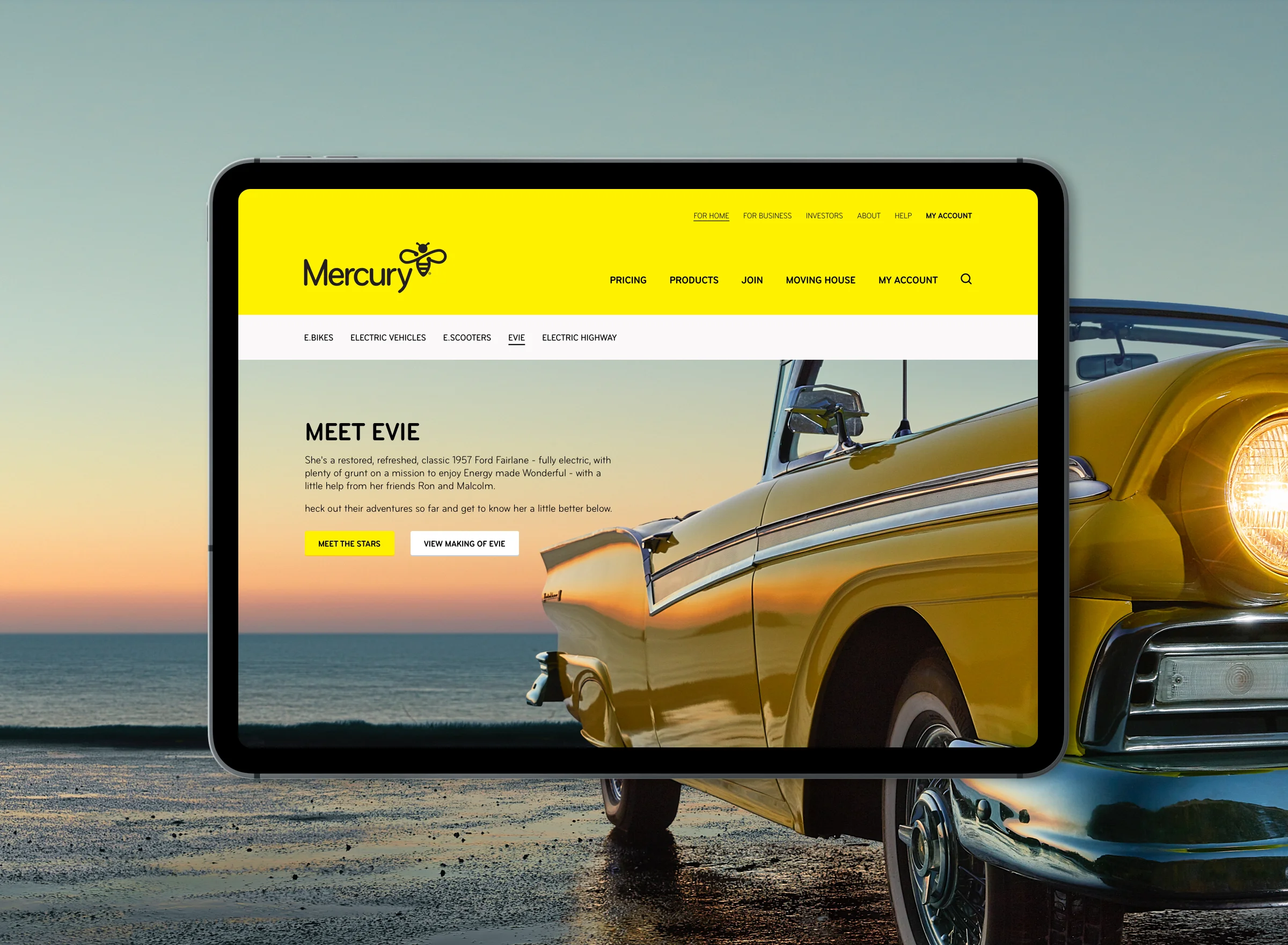 Mercury Website - Meet Evie@2x.jpg