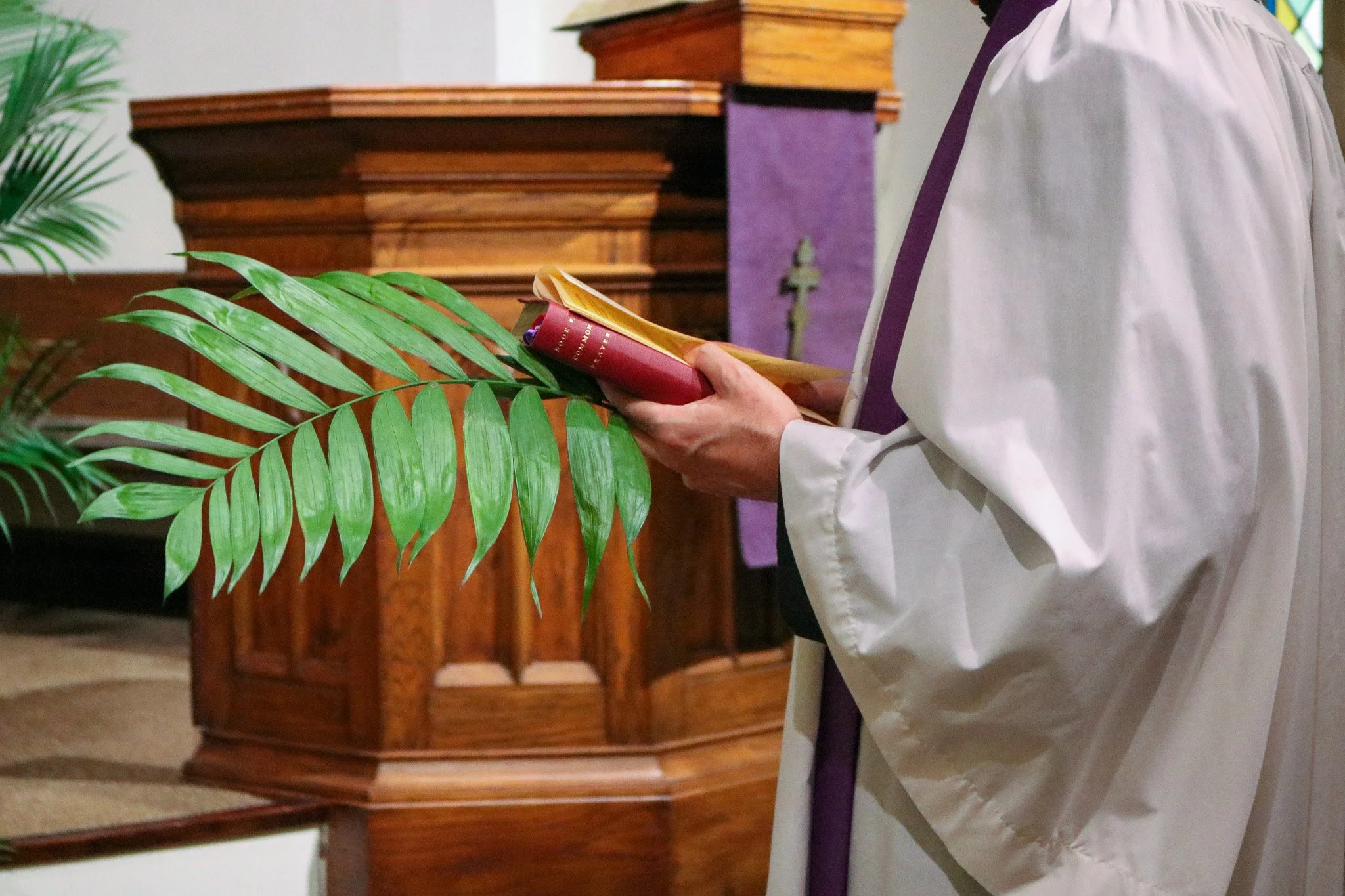 Palm Sunday