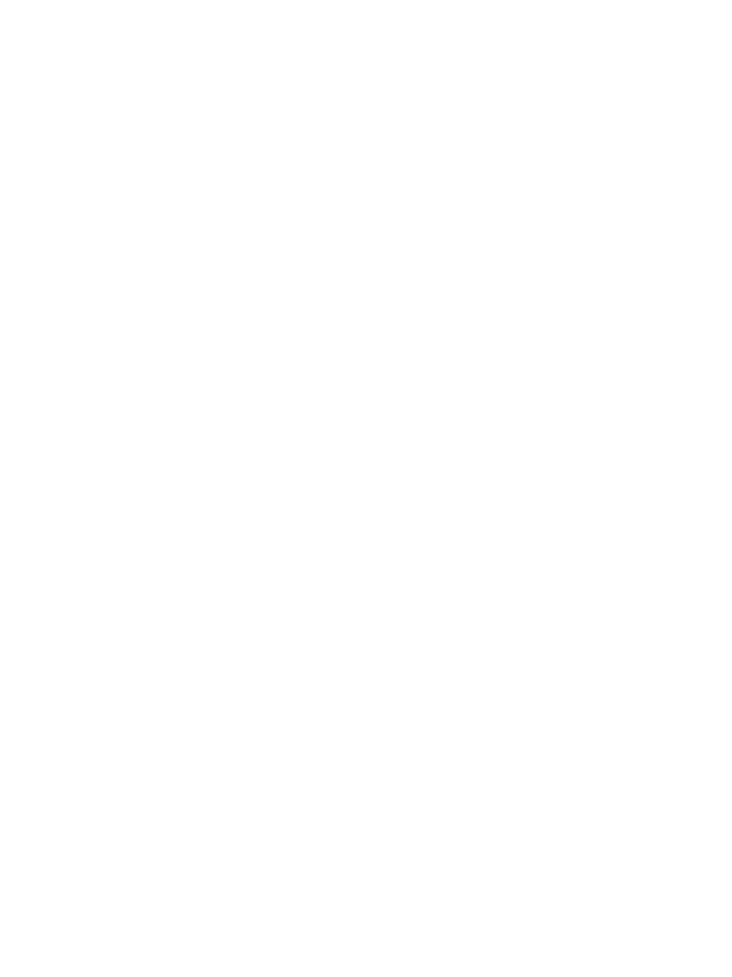 The Band Junkies