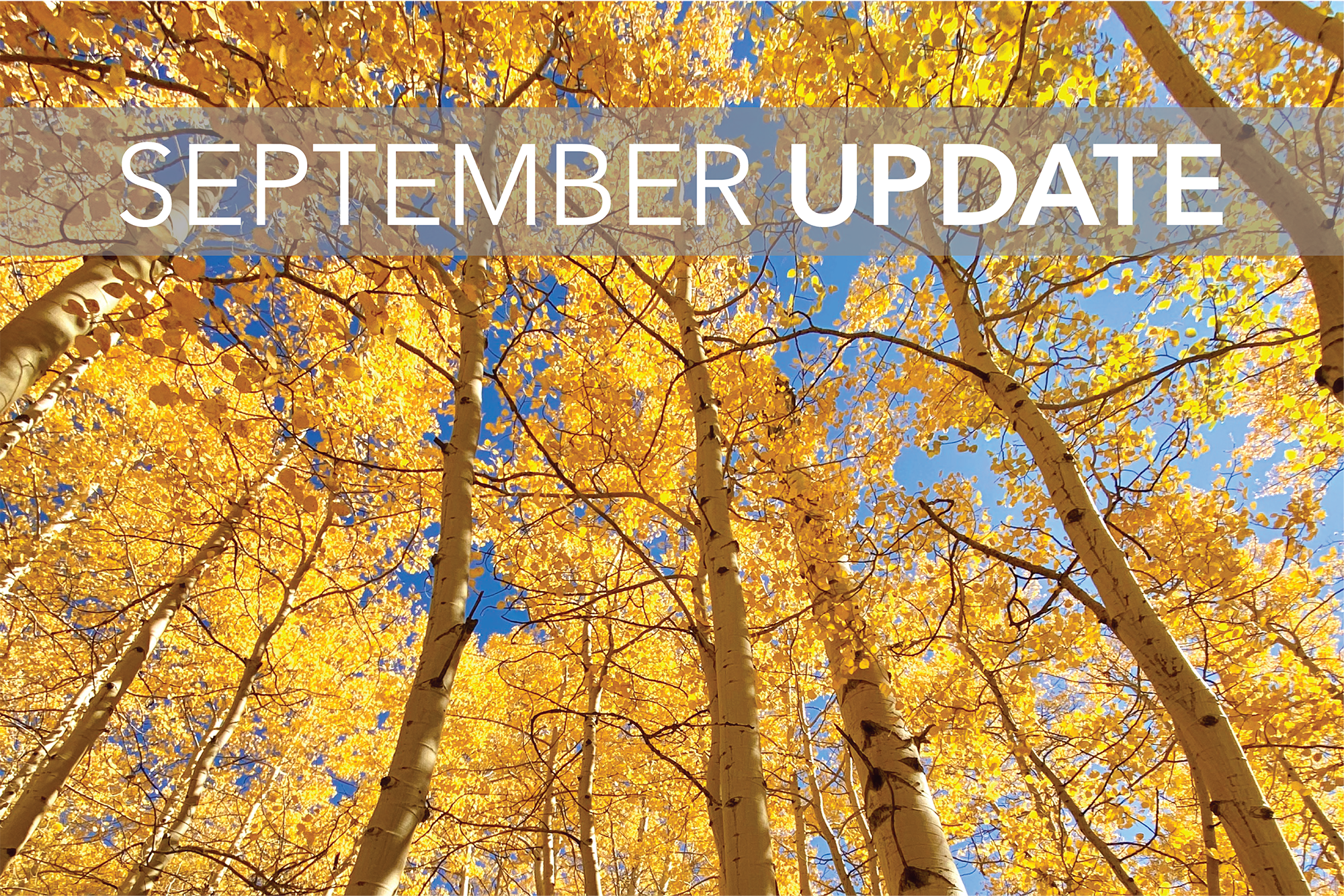 September Update