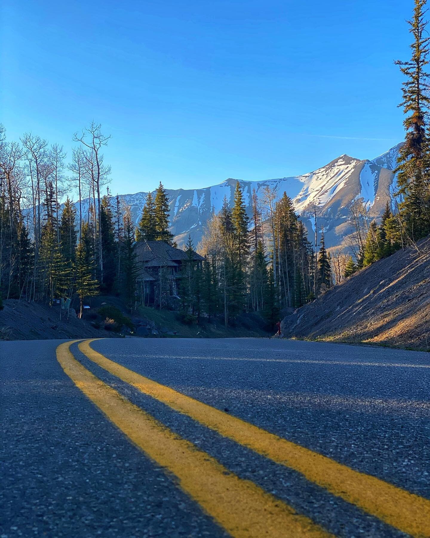 ✨Always take the road less traveled ✨
&bull;
And if you are lucky enough&hellip;that road will lead you to Telluride🏔️
&bull;
Hope to see you this summer! 🤩
#telluridecolorado #maytheroadrisetomeetyou 
#telluridelife