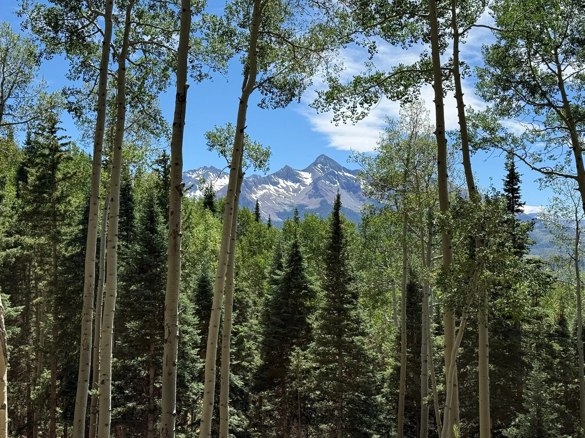 3E4BC0AA-F528-4972-A7BD-C0F3A1C57A02.jpeg