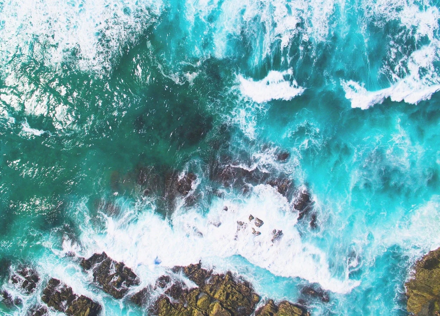 Ocean Skin And Vein Institute