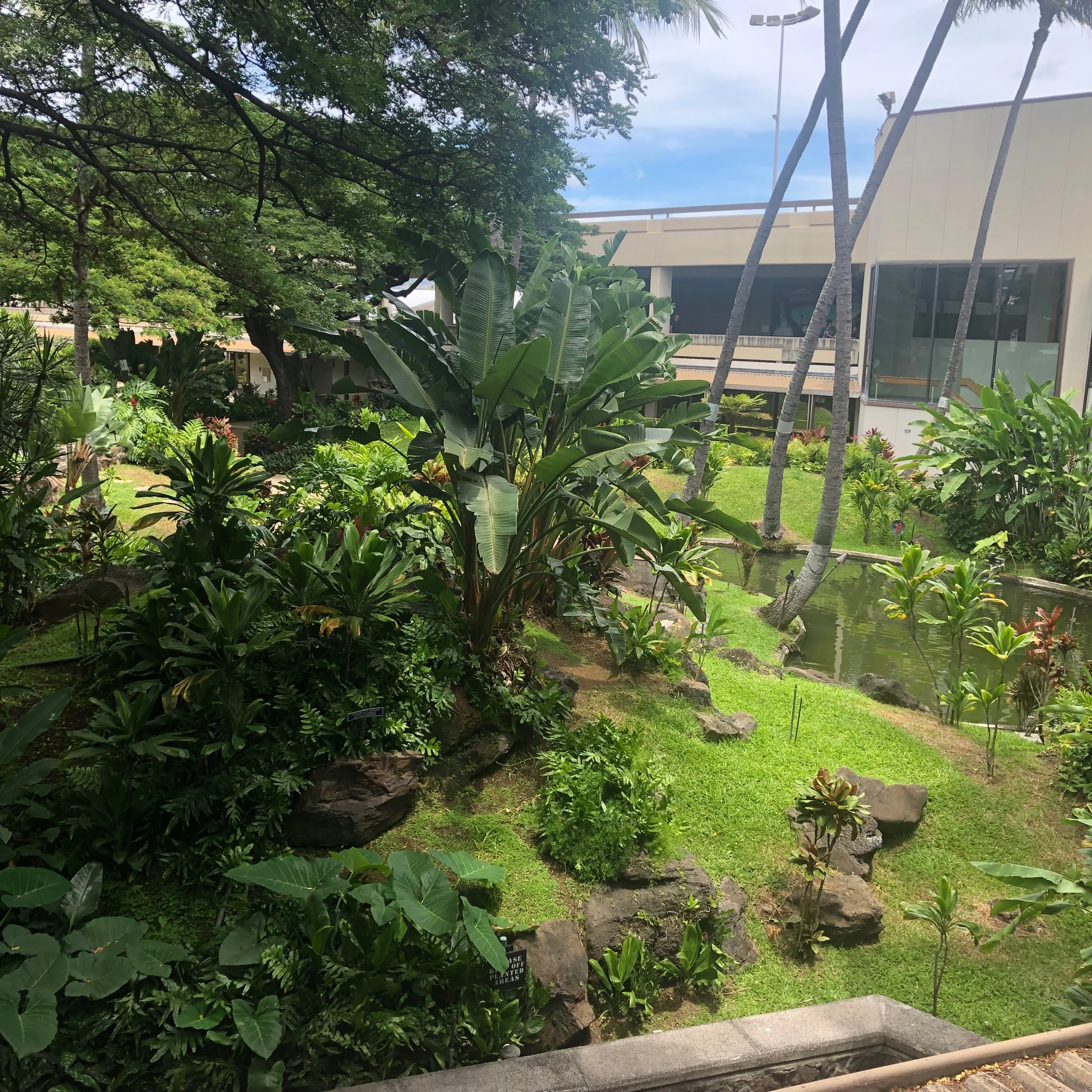 Just arrived at Honolulu airport! Guys you the weather is sooo nice, seriously! 🌊