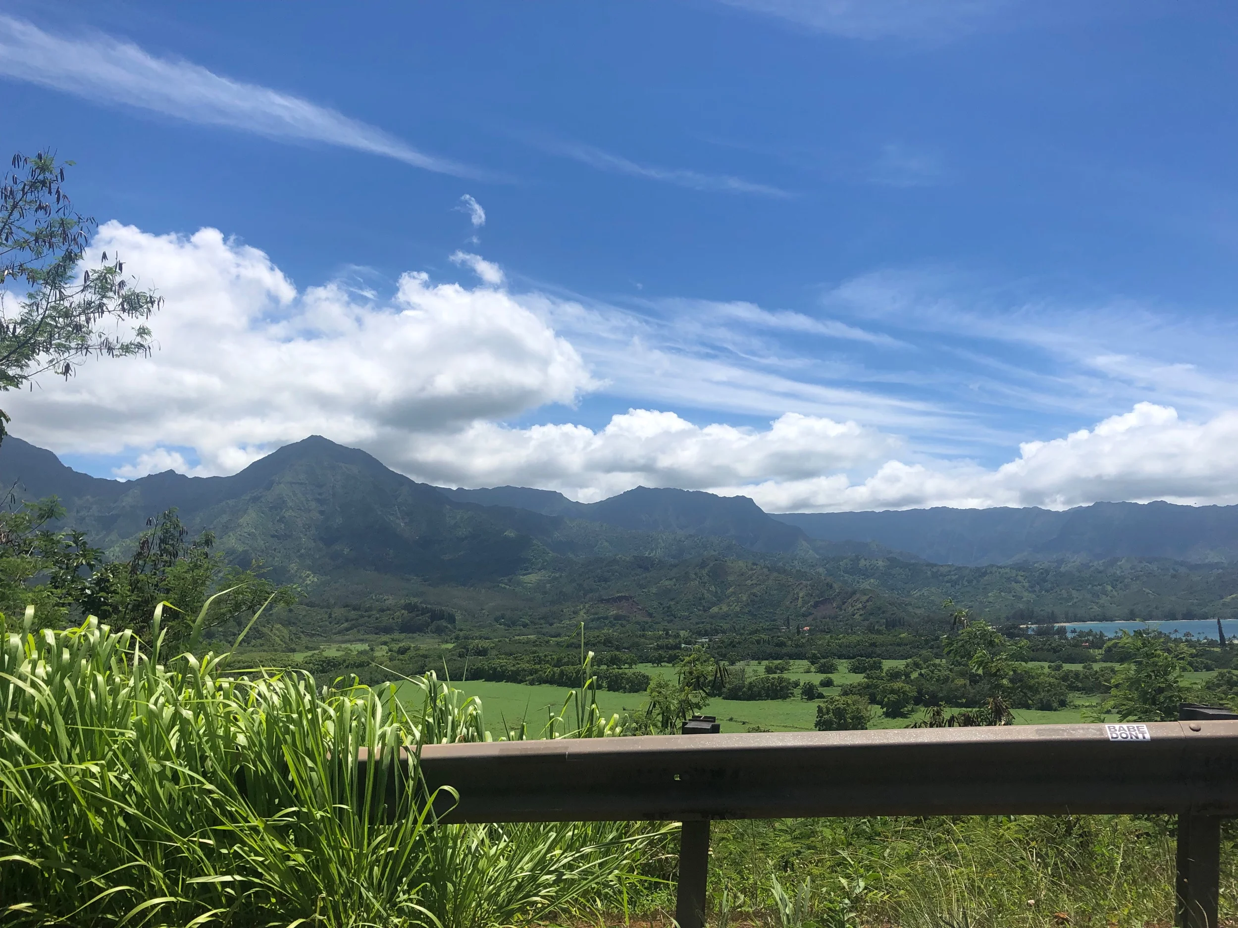 Driving (Picts by Tay)