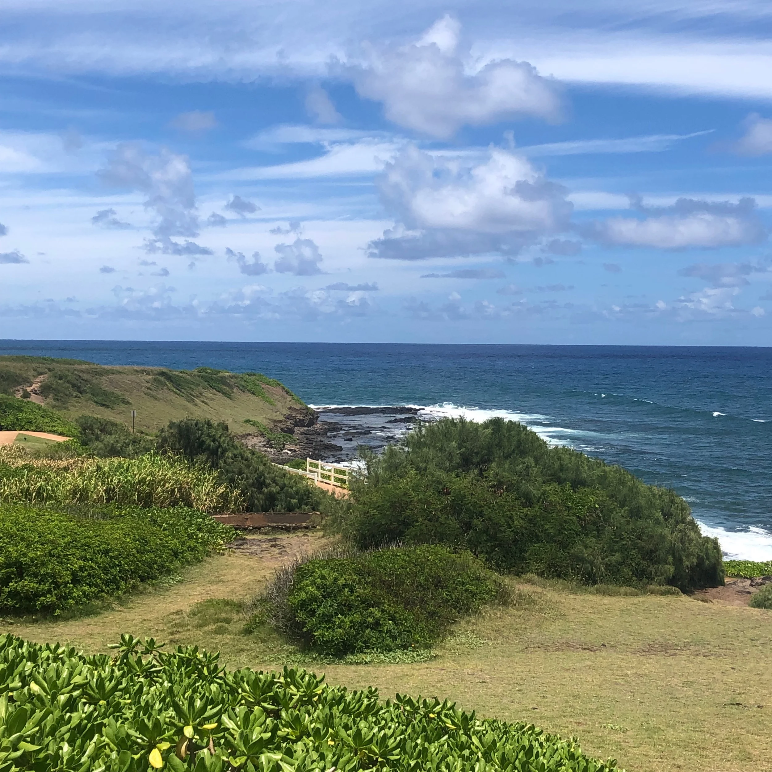 Lots of neat spots to stop at!