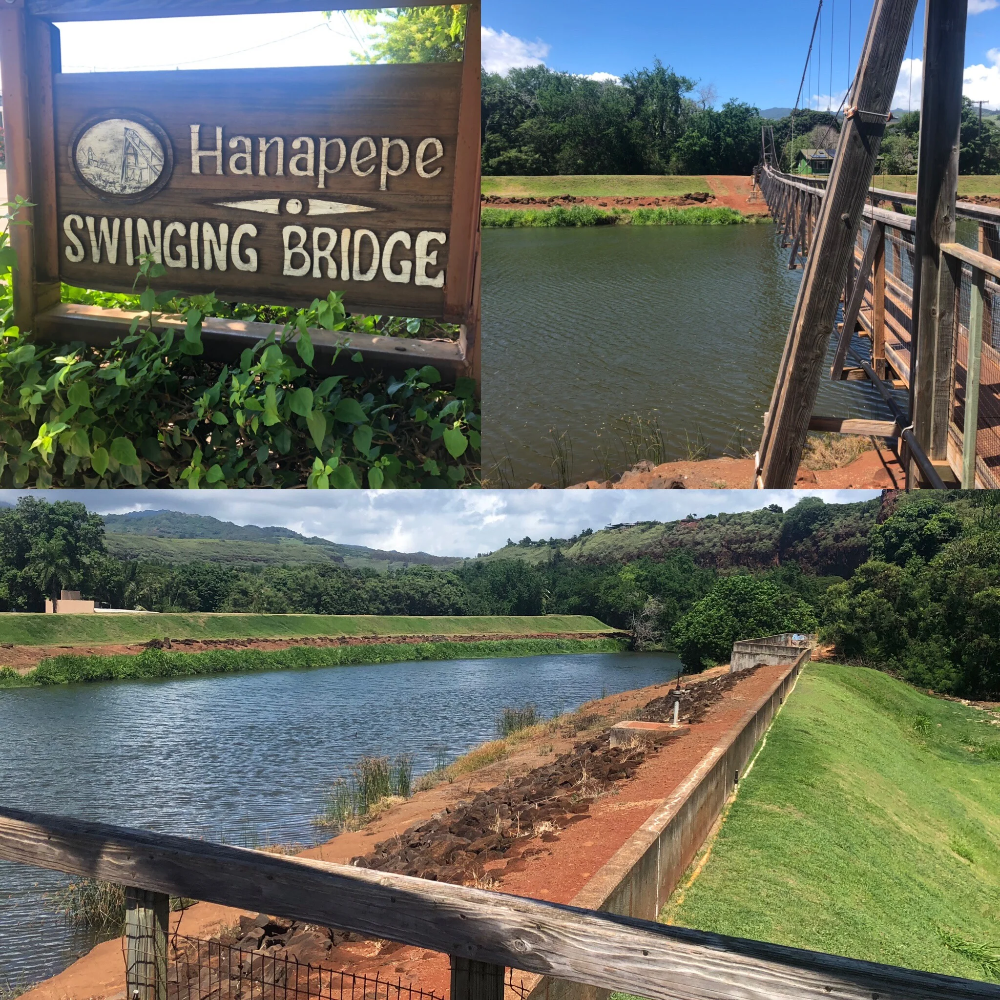 Gorgeous day near the river, make it better with shaved ice!!