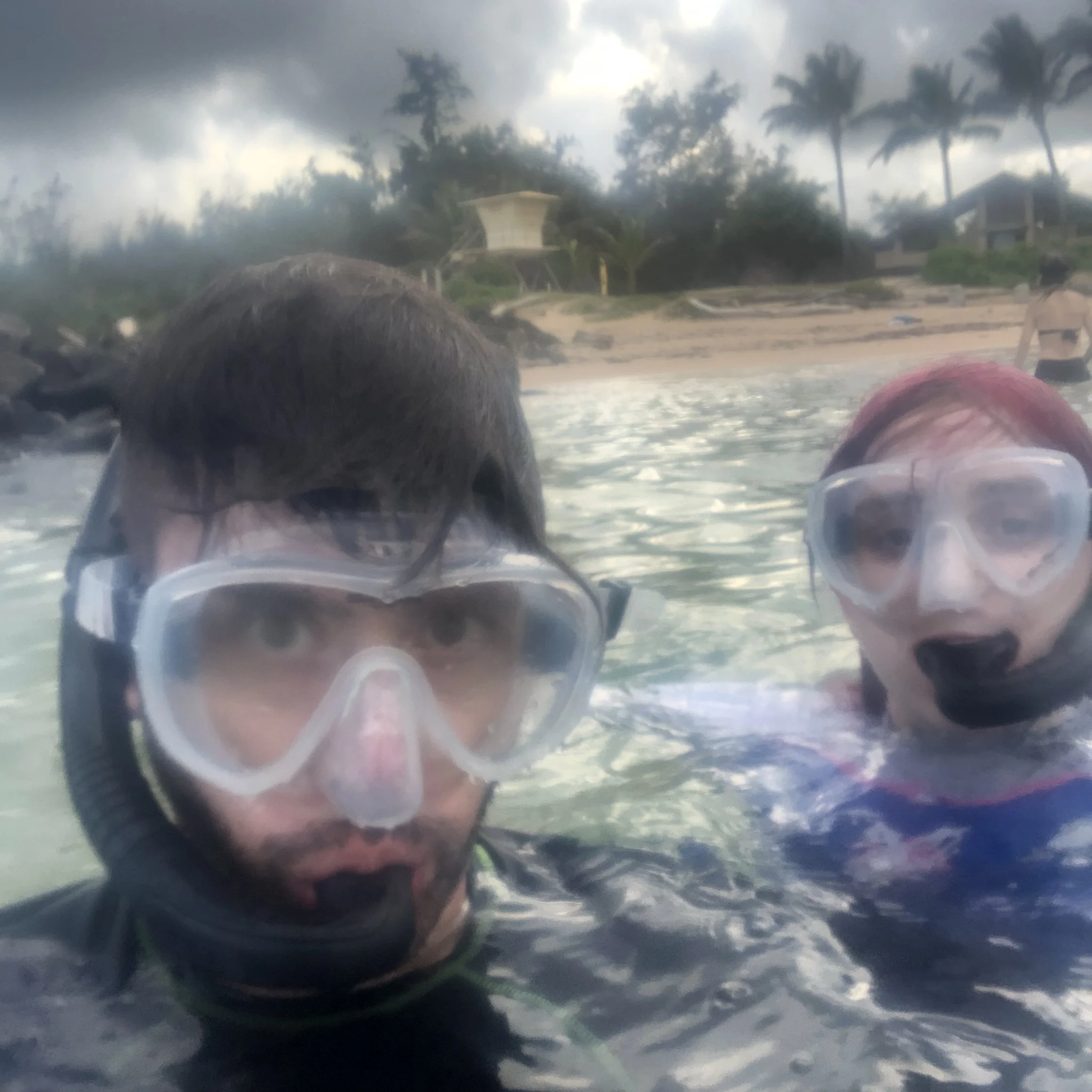 Stopped at Lydgate Park - great spot for first time snorkeling!