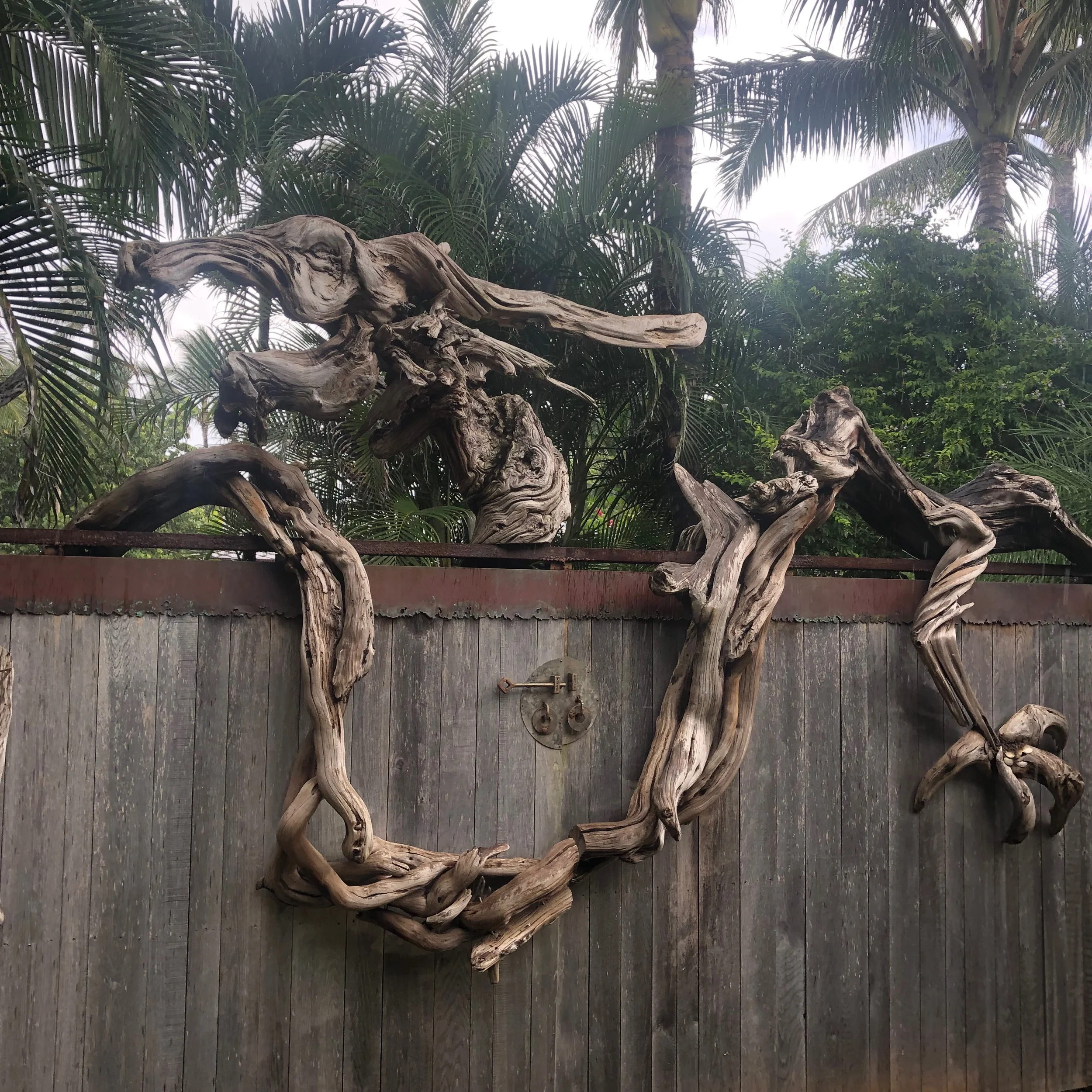 I hella ❤️ this drift wood