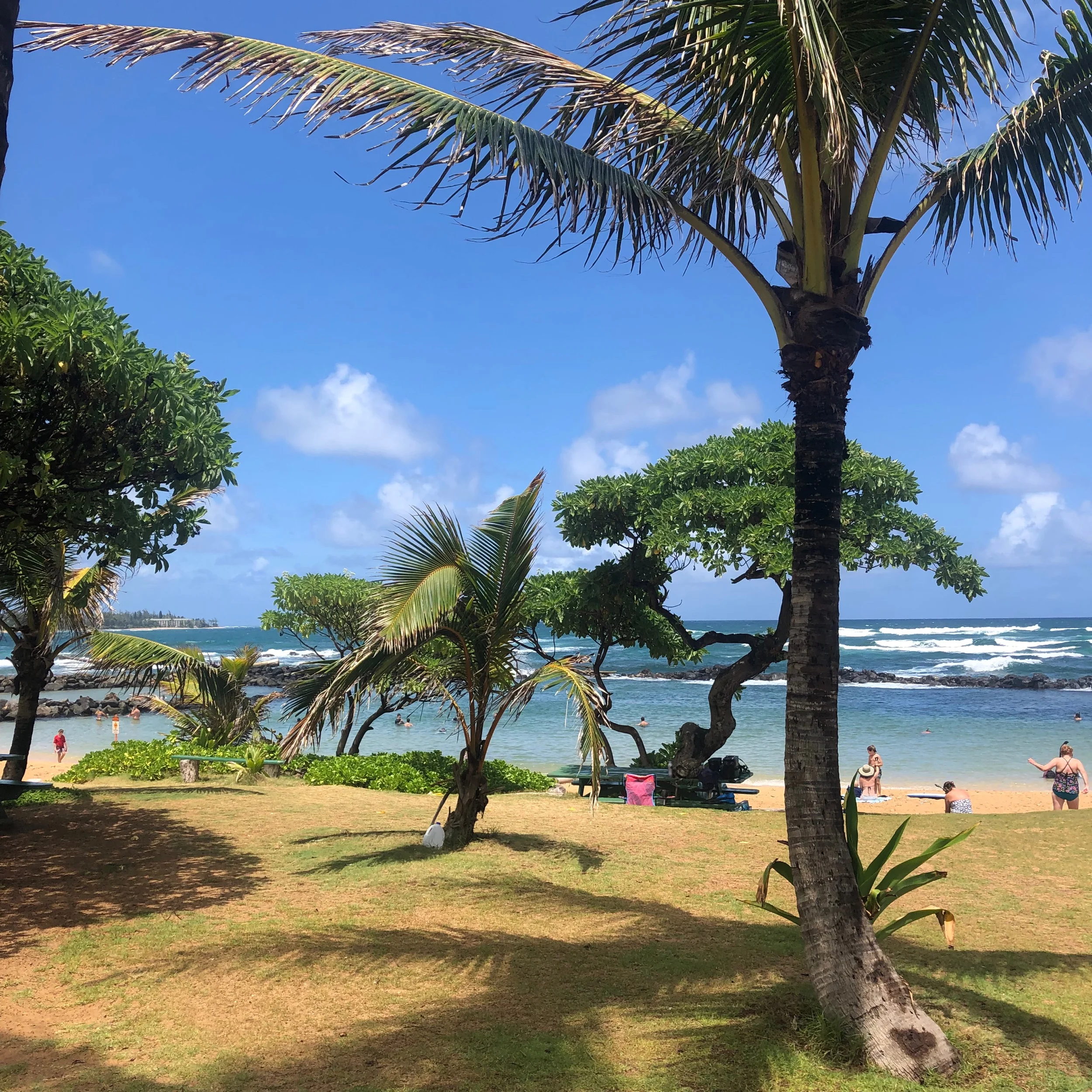 Gettin ready to snorkel