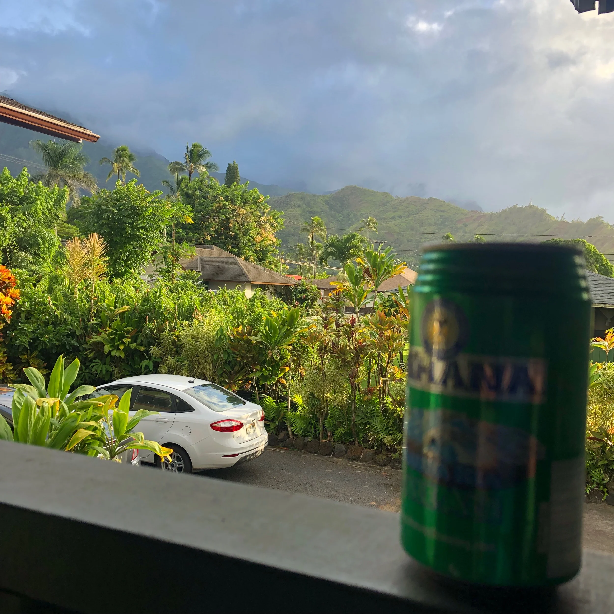 Pale ale on the poarch 🤙