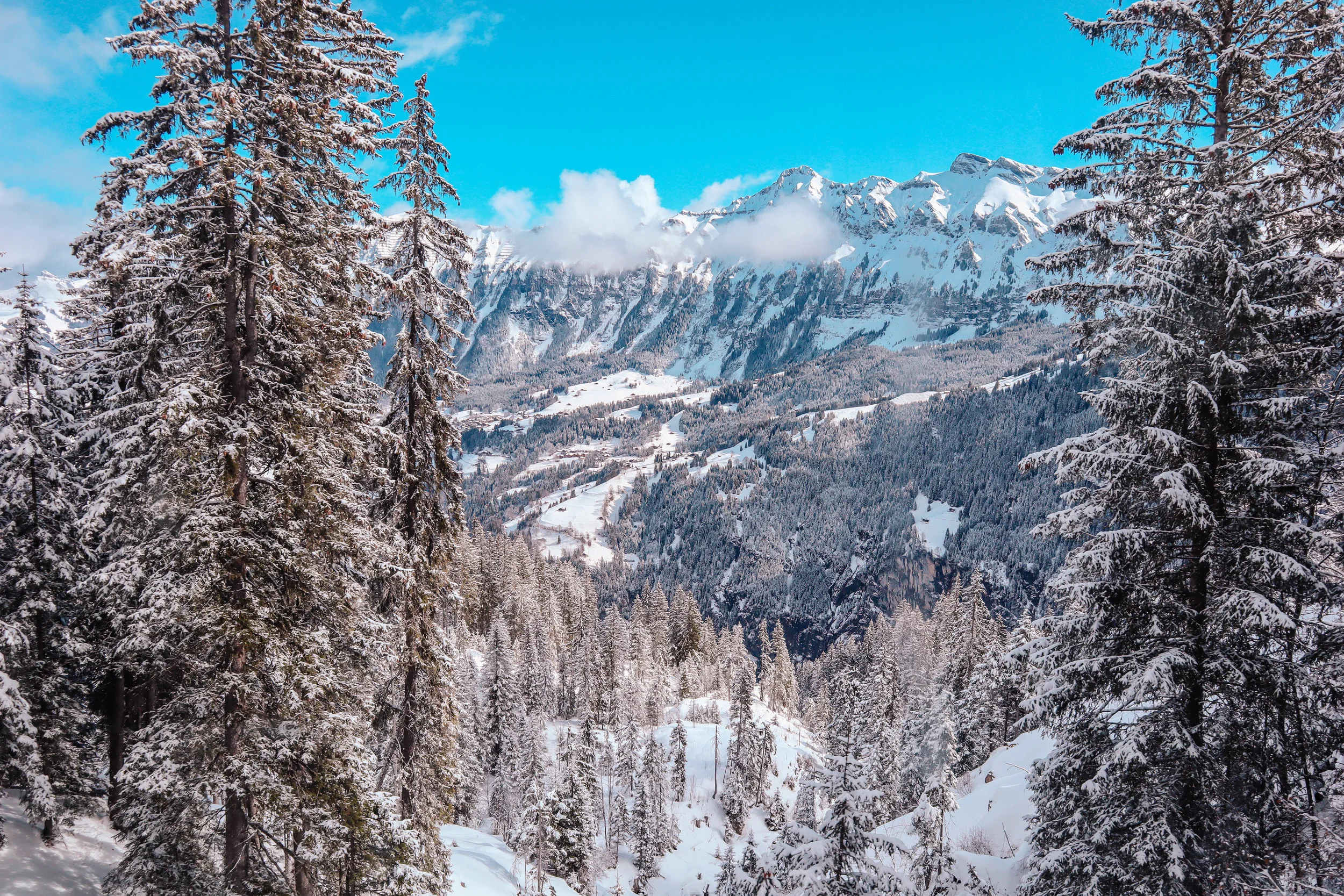 View from the Swiss Train